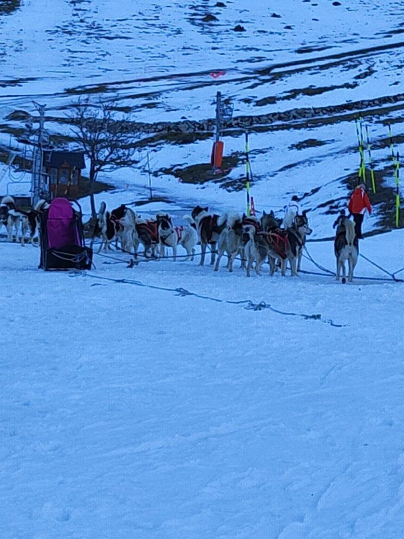 Appart 4/6 Pers Pied Des Pistes La Mongie 바네르드비고르 외부 사진